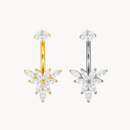 Bauchnabel Titan Bananabell Blüte