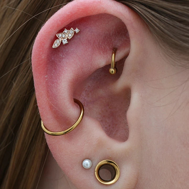 Conch – Schmuck getragen